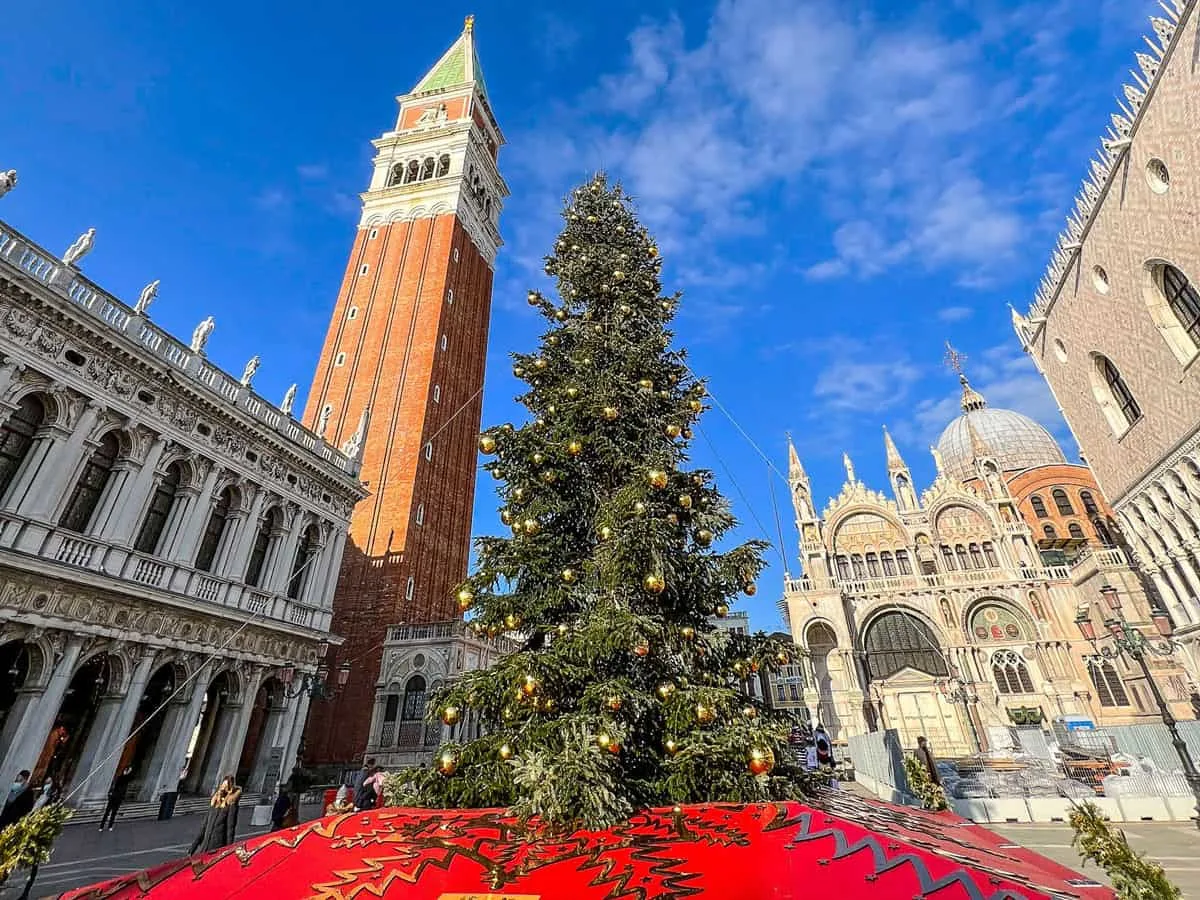 Christmas tree in Saint marks Square in Venice on a blue sky day. St marks Basilica is in the background. 
