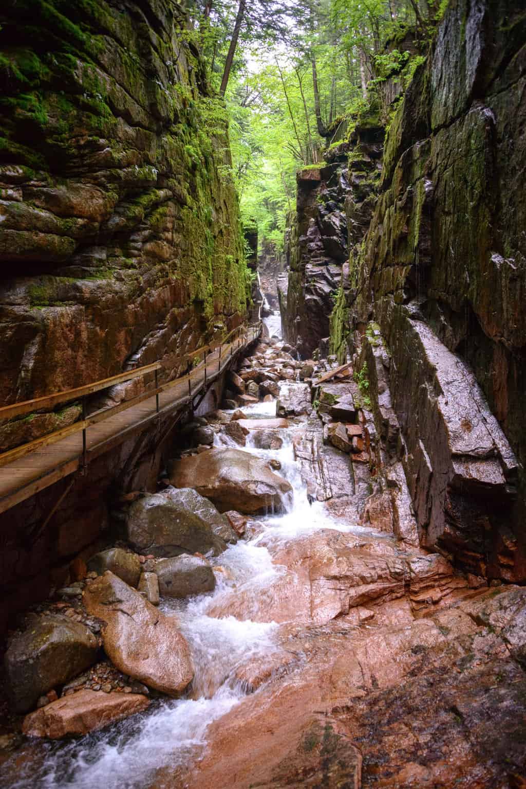A narrow rocky gully with a stream running through and lush green vegetation.