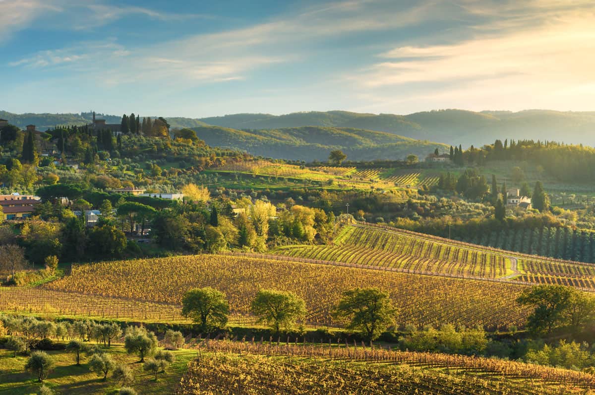 Panzano in Chianti vineyard and panorama at sunset in autumn. 
