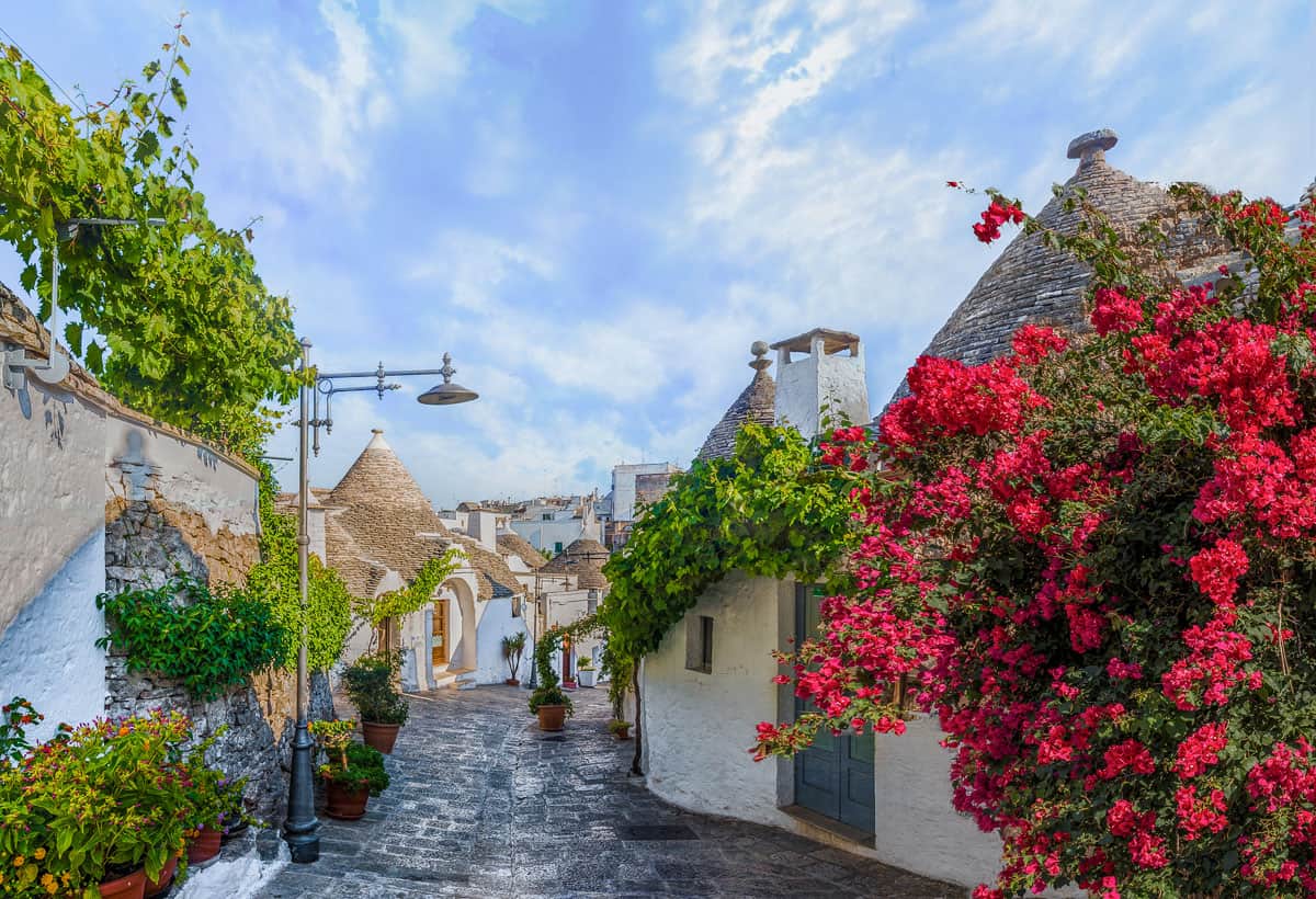 A cobbled street with typical conical roofed white houses in Italy. Bright pink flowers and vines decorate the houses. 