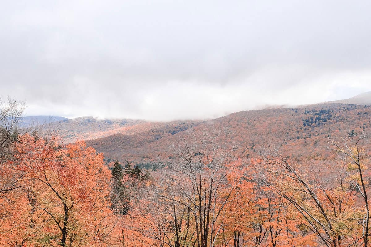 Mountain views in New Hampshire covered with red fall foliage and a white sky.