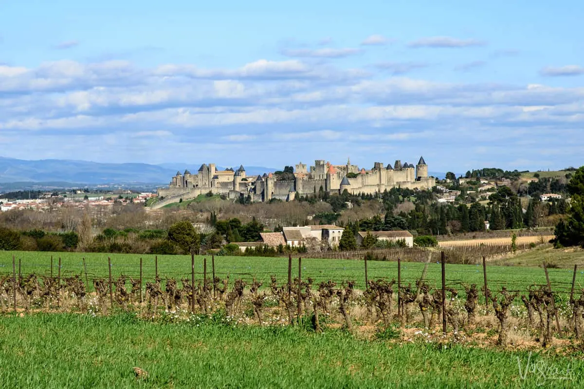 Green fields and wine vineyards with the walled city of Carcassonne in the distance. 