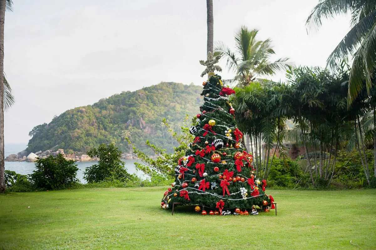 A Christmas tree on a lawn in a tropical setting during the day. 