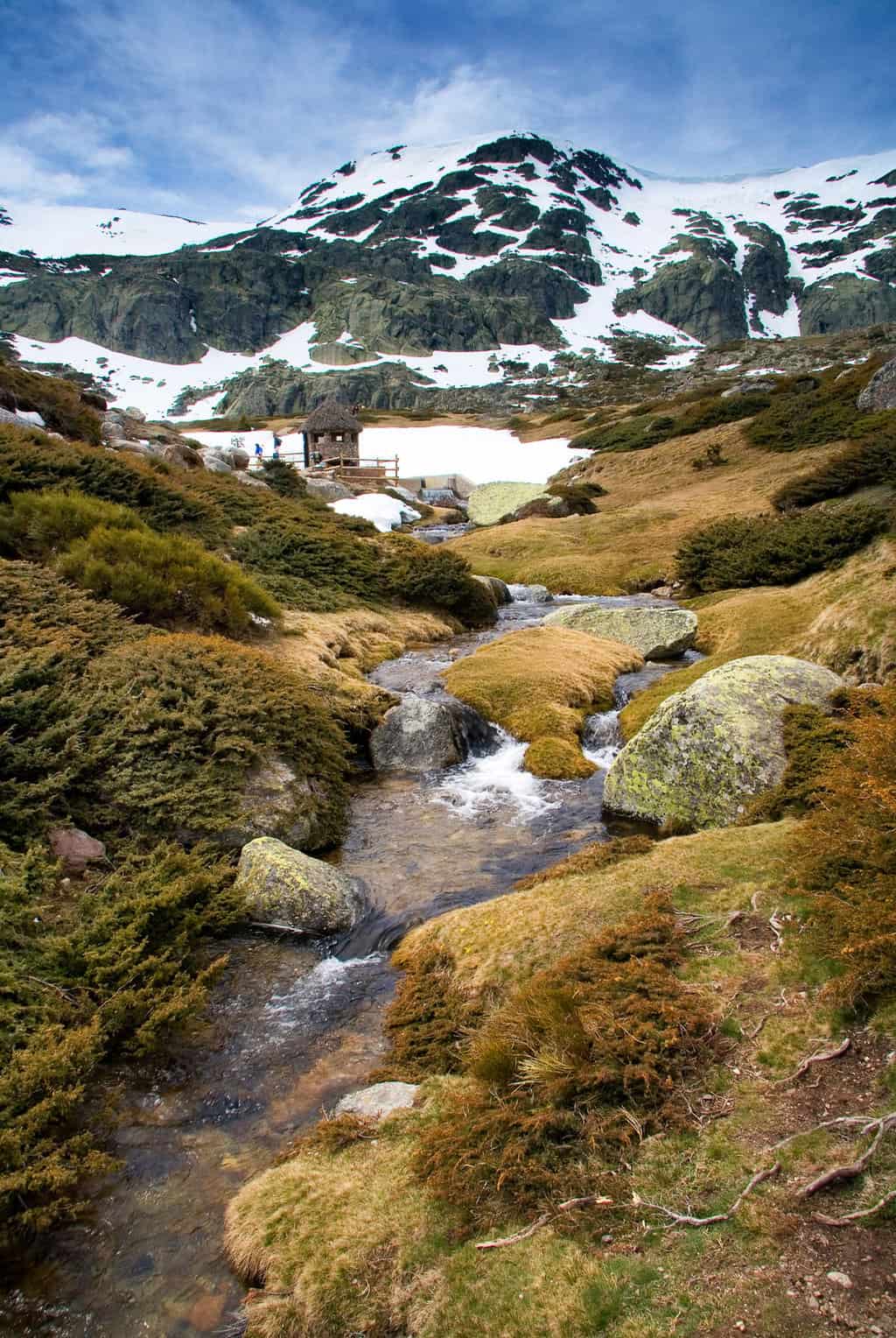 A creek makes its way through moss covered rocks with snow covered mountains in the distance. 