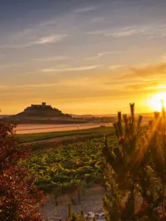 Sun sets over the Spanish countryside creating a golden glow and the silhouette of a castle in the distance.