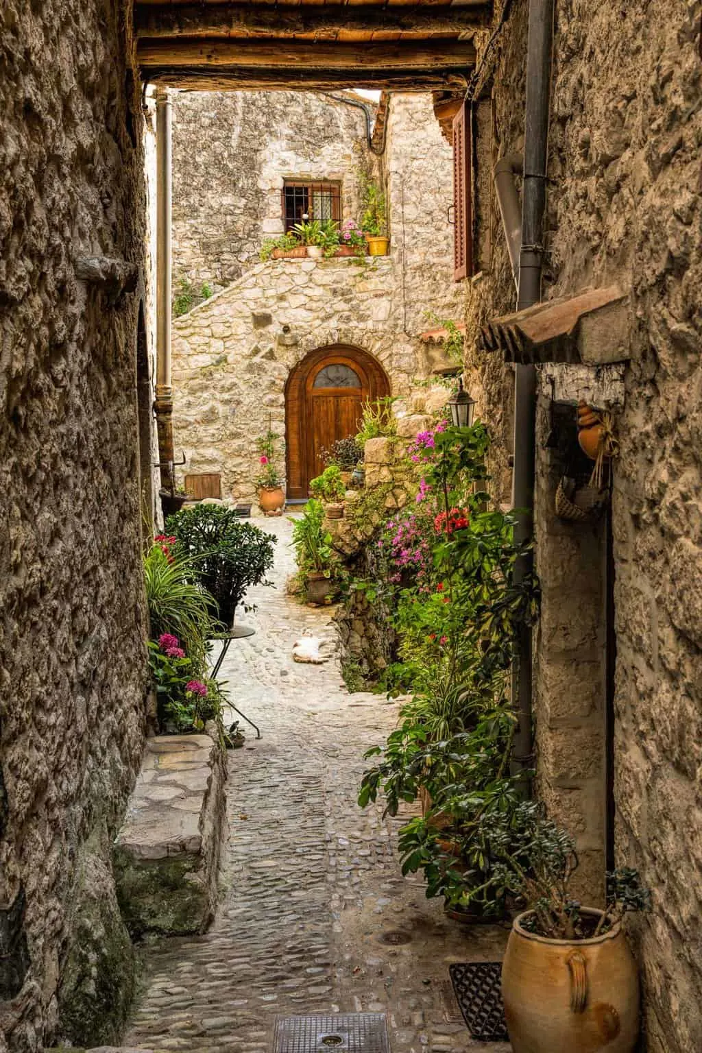 A cat lies at the end of a narrow cobbled lane lined with flowers in a small medieval French village. 
