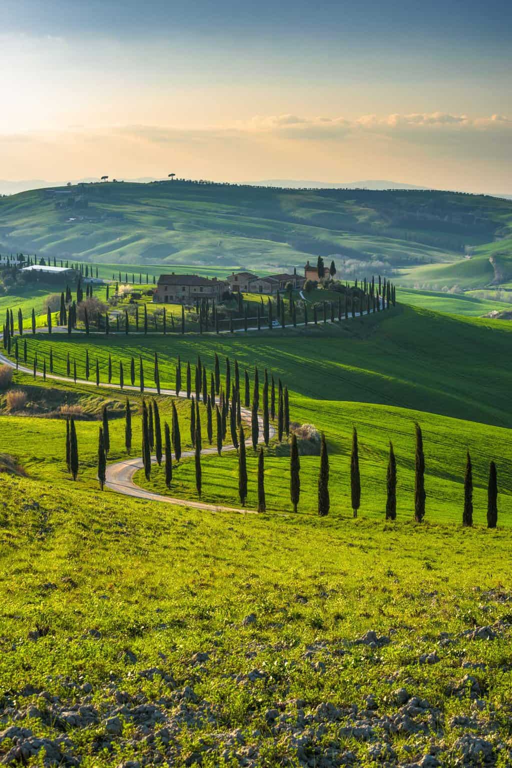 A tree lined narrow winding road weaves through green rolling hills with a small village in the distance.