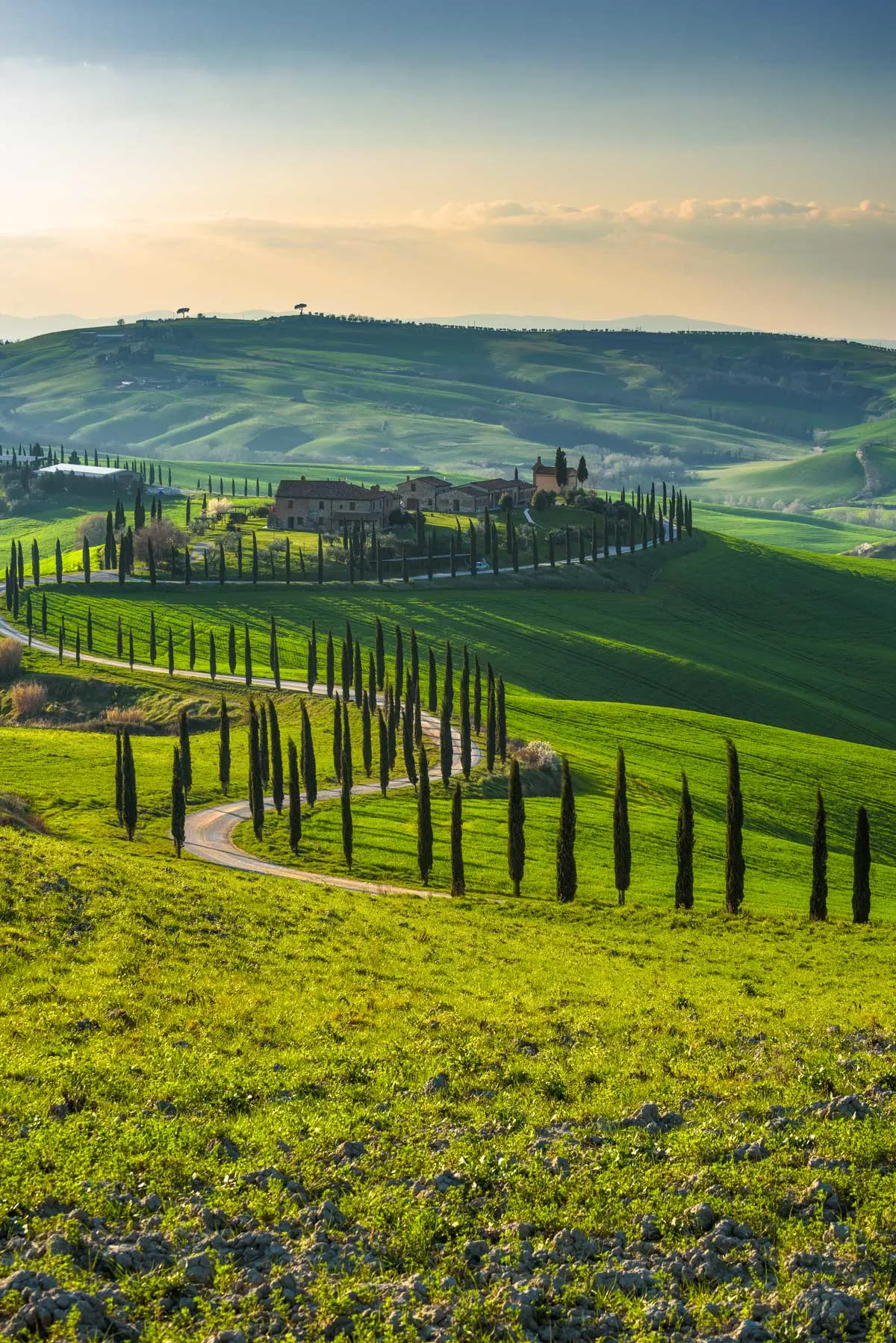 A tree lined narrow winding road weaves through green rolling hills with a small village in the distance. 