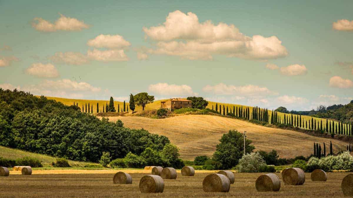 Hay bales on golden fields with a farm house ruin and cypress trees on the hill in the distance. 