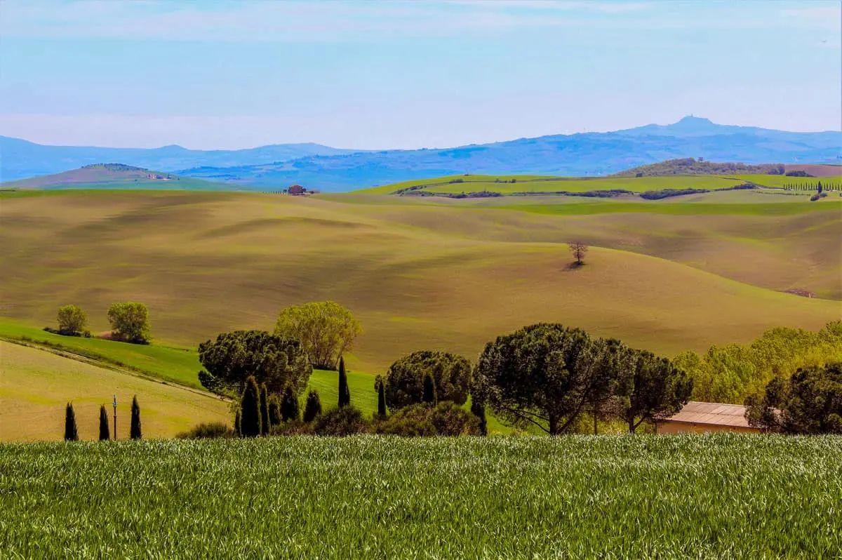 Rolling green and gold hills in the Tuscan countryside.