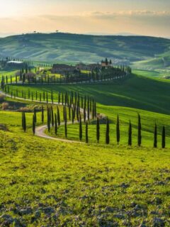 A tree lined narrow winding road weaves through green rolling hills with a small village in the distance.