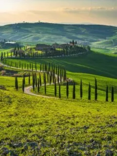 A tree lined narrow winding road weaves through green rolling hills with a small village in the distance.