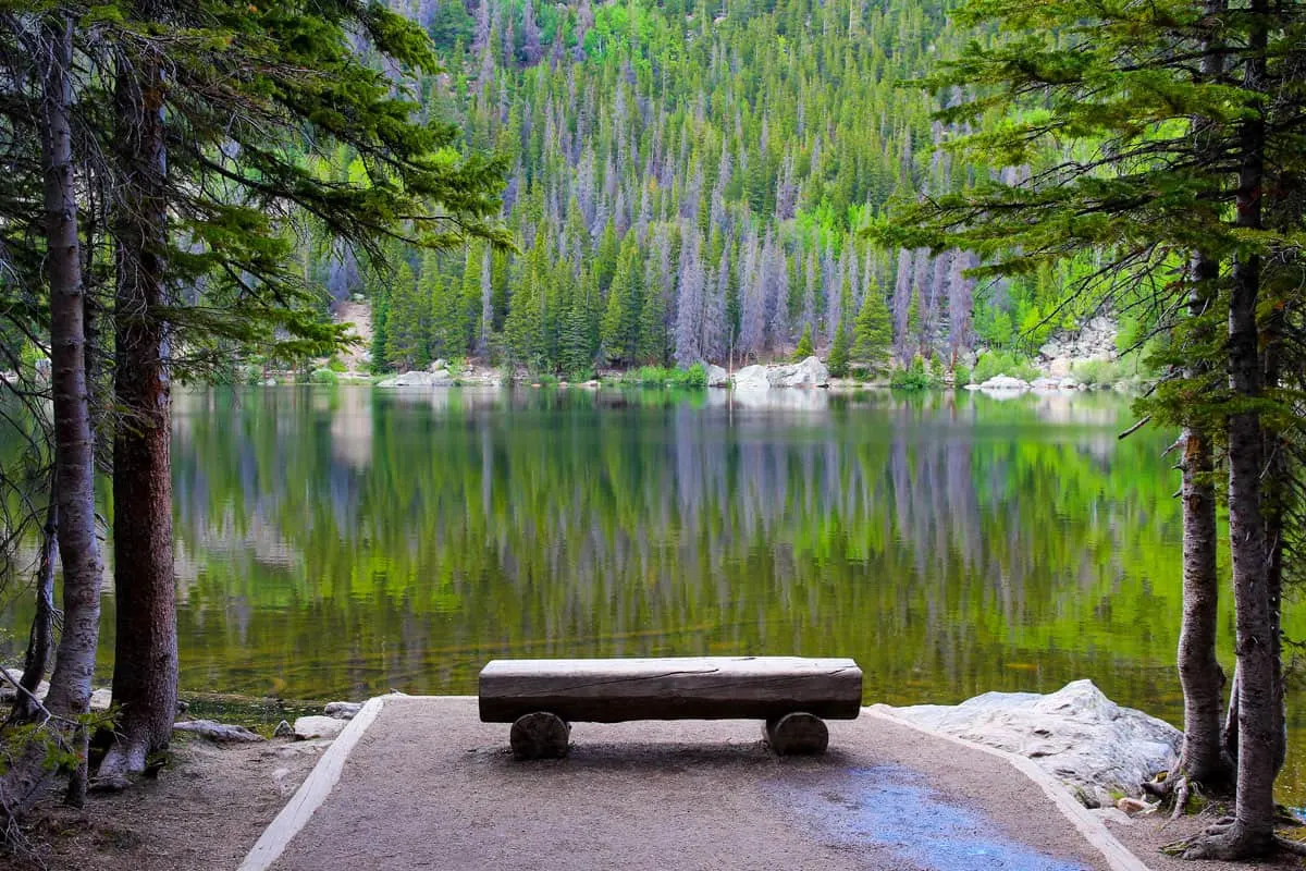 A bench in front of a still lake with the green and purple trees reflected in the water.