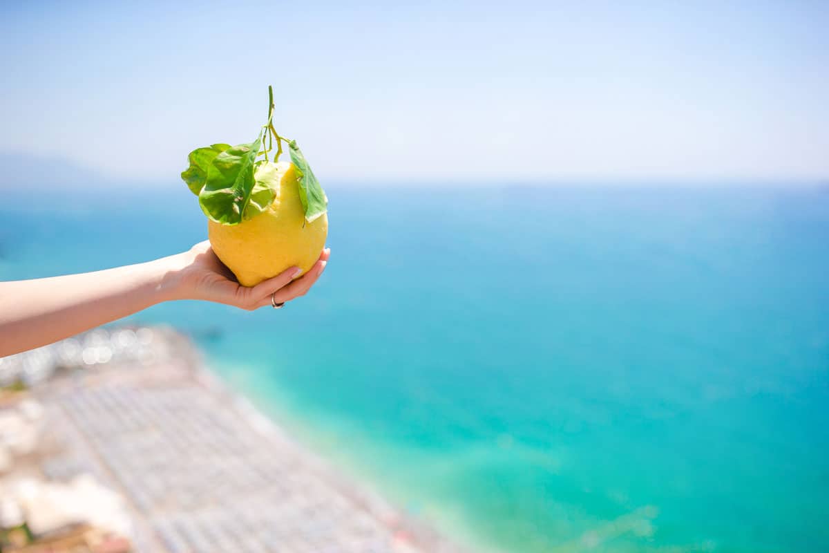 A lady's hand holds a giant lemon out in front of the Mediterranean sea on a bright sunny day.