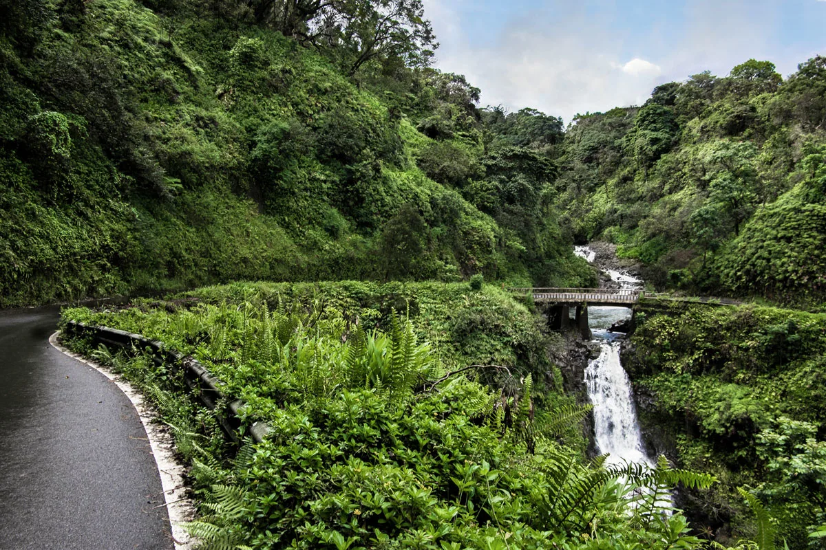 The Hana Highway turns to cross a one lane bridge beside a waterfall with dense ferns along side the road on the north coast of Maui