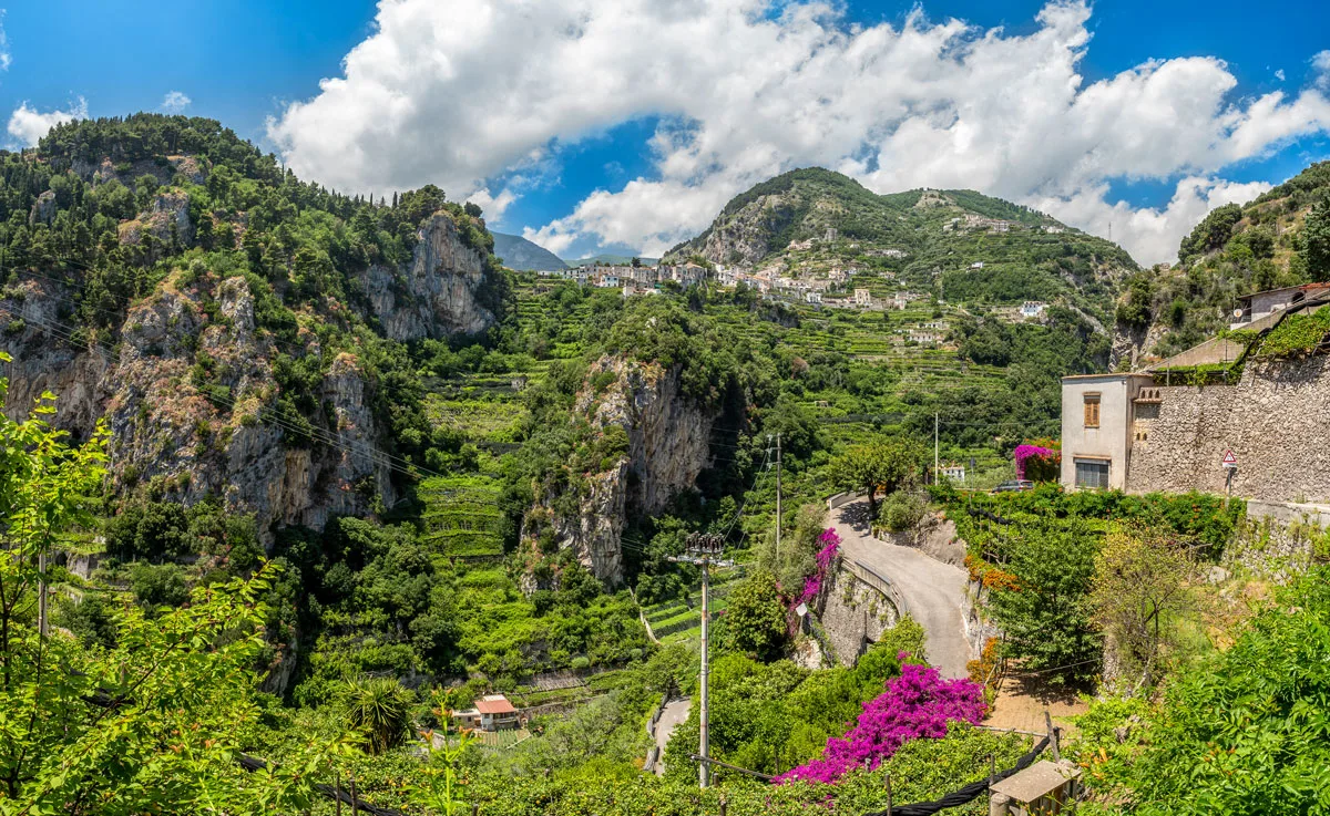 A lush green mountainous landscape with a village and pink flowers.