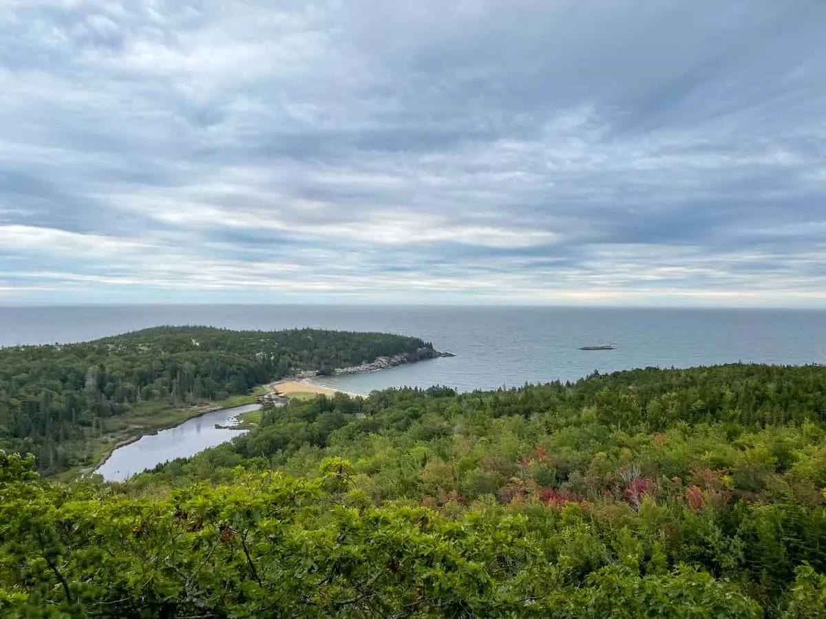 Green forest hugs the coast in Acadia NP.