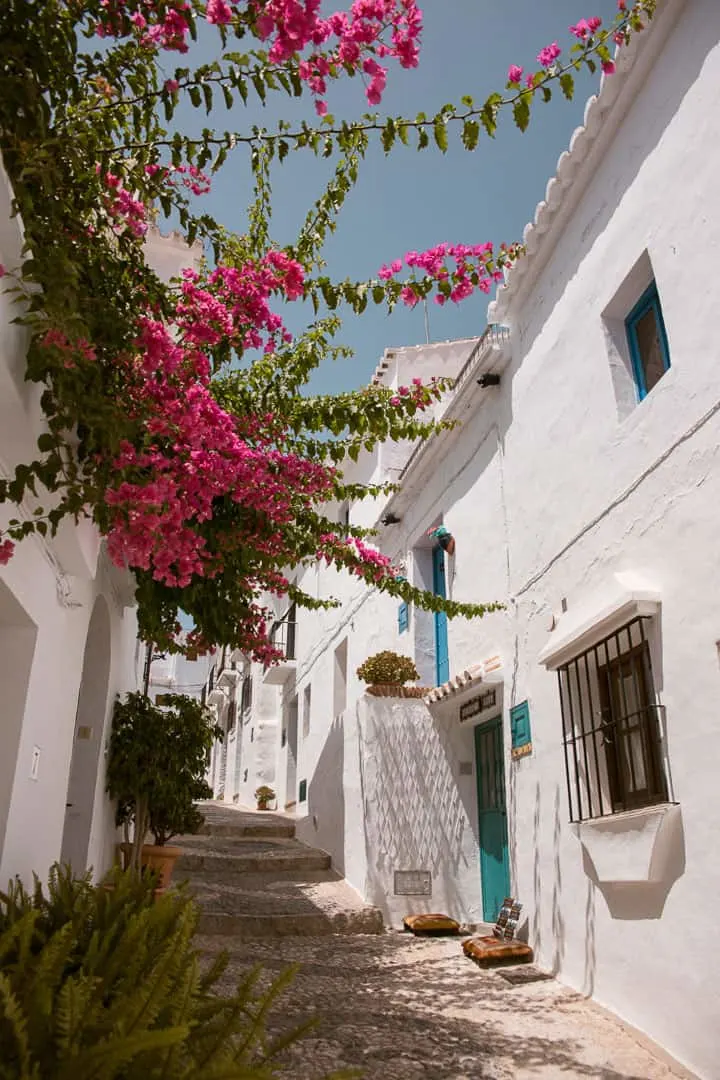 A narrow, steep street flanked with white houses and pink flowers in a Spanish village.