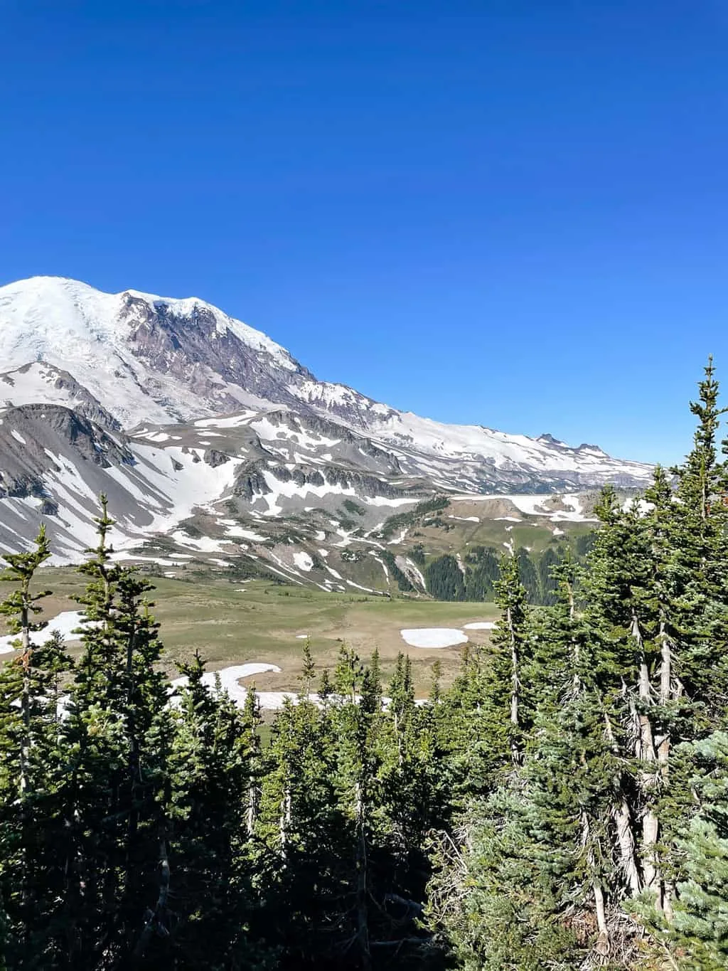 Snow dusted mountain on a sunny day with green fields and forest in the foreground.