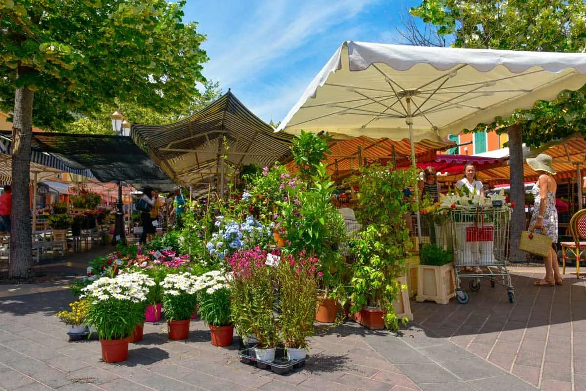 A lady shopping at a flower market in nice in Summer. 