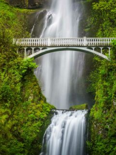 A bridge crosses a waterfall flanked with lush green.