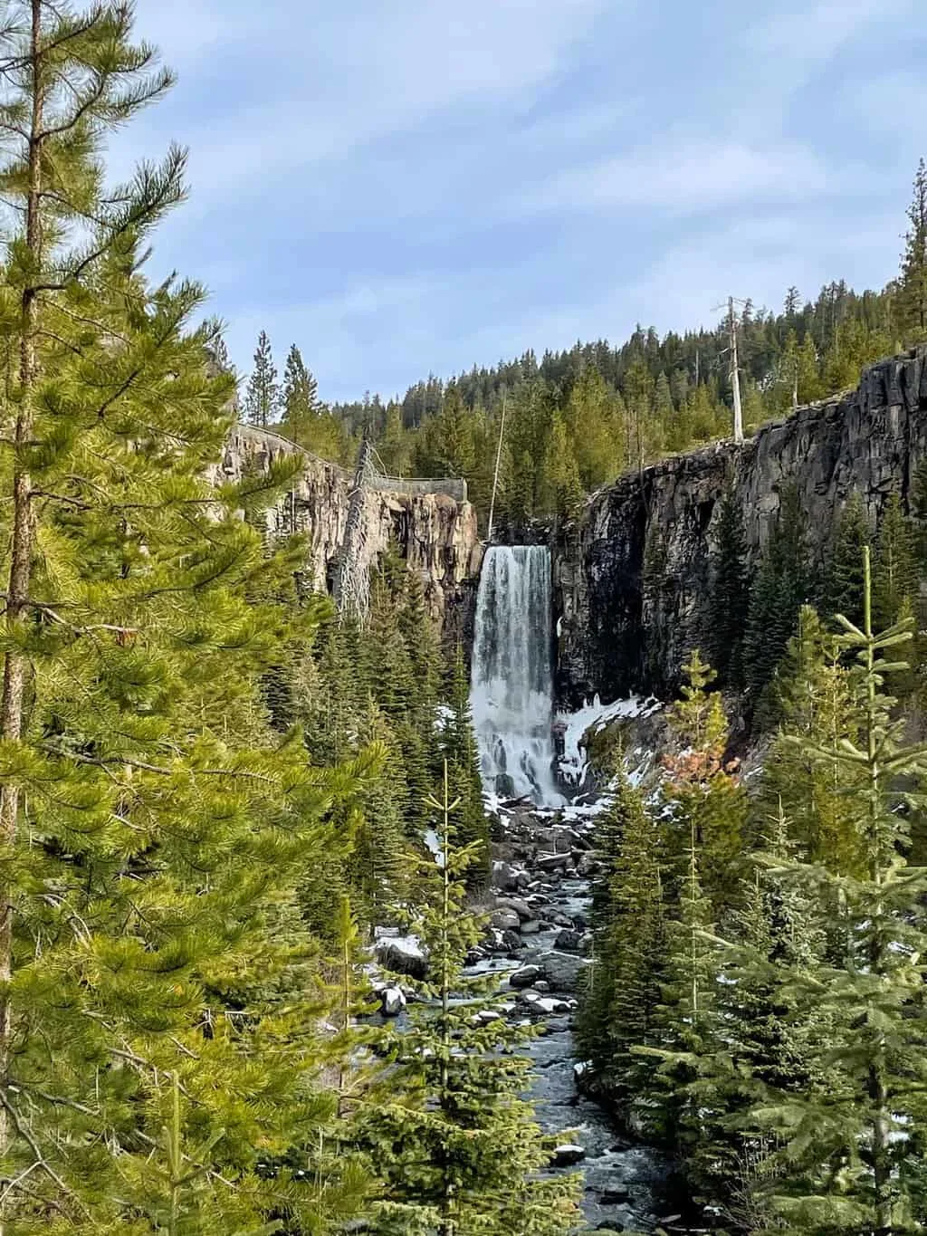 Waterfall in dense wooded forrest.