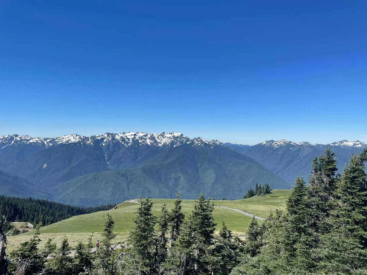 Views of green meadows, woods and snow capped mountain peaks.