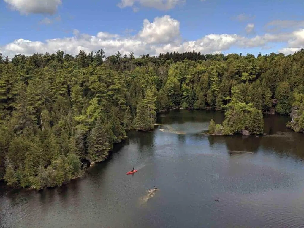 Aerial view of a red canoe in a lake surrounded by woodland. 