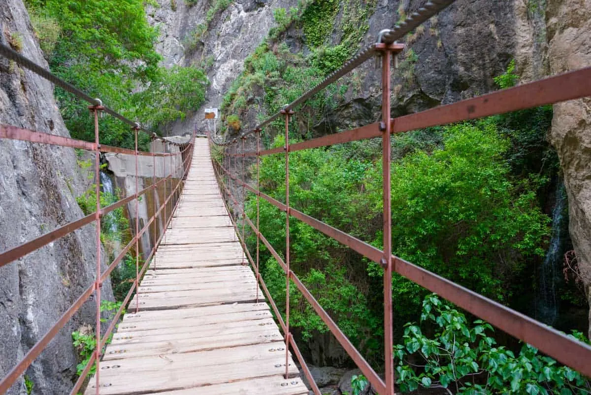 A hanging bridge across a leafy gorge in the Sierra Nevada. 
