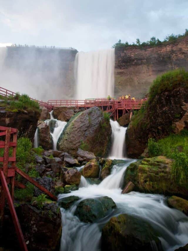 6 Best Day Trips From Toronto For a Breath of Fresh Air Story