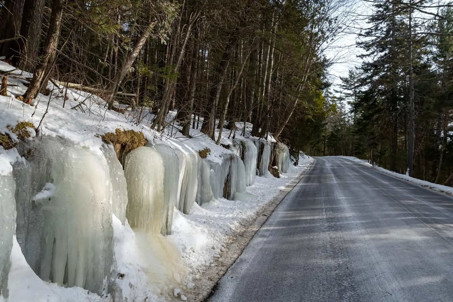 A snow-covered road through the woods in Acadia National Park in winter