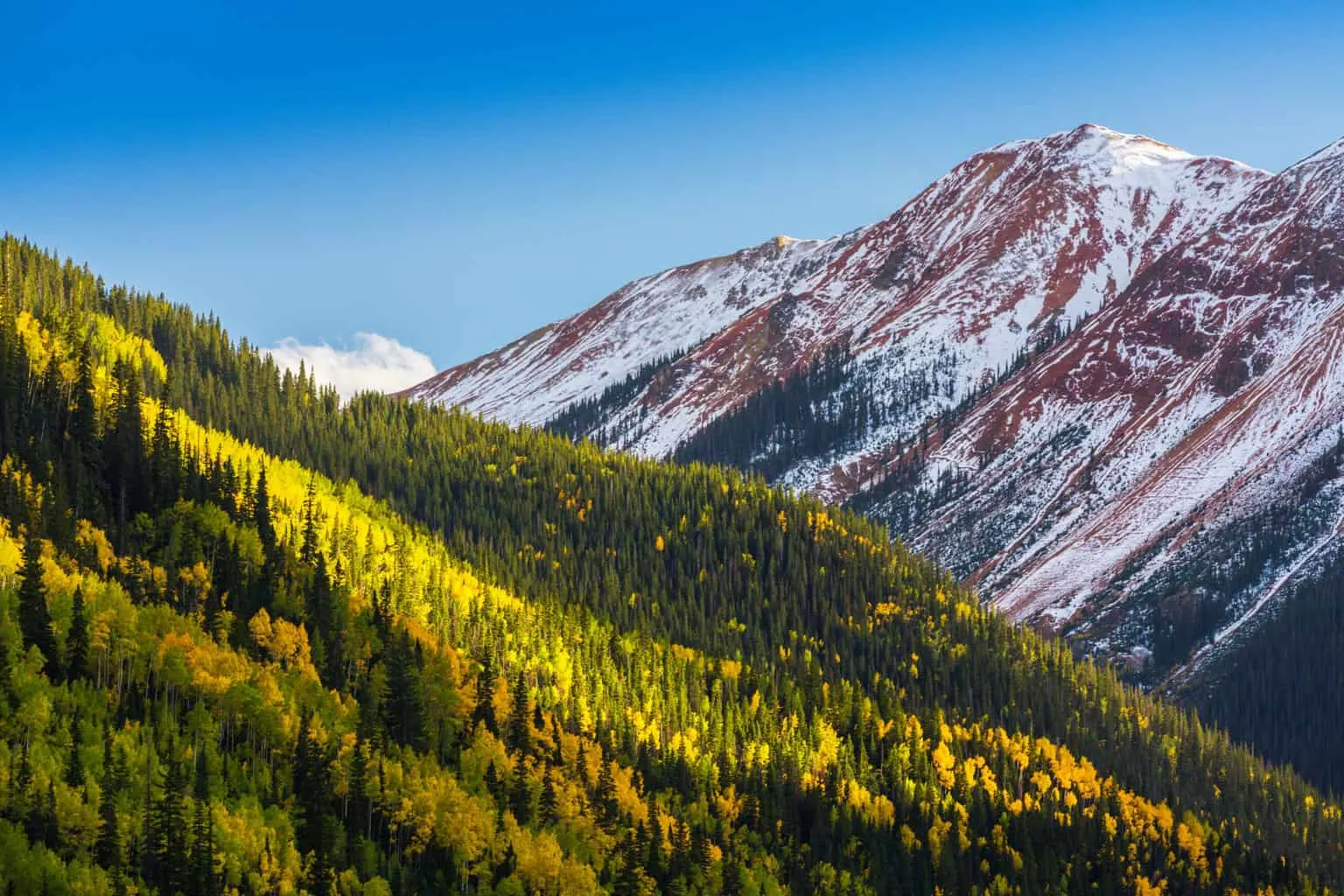 Snow-covered trail above Telluride, Colorado on a winter hike