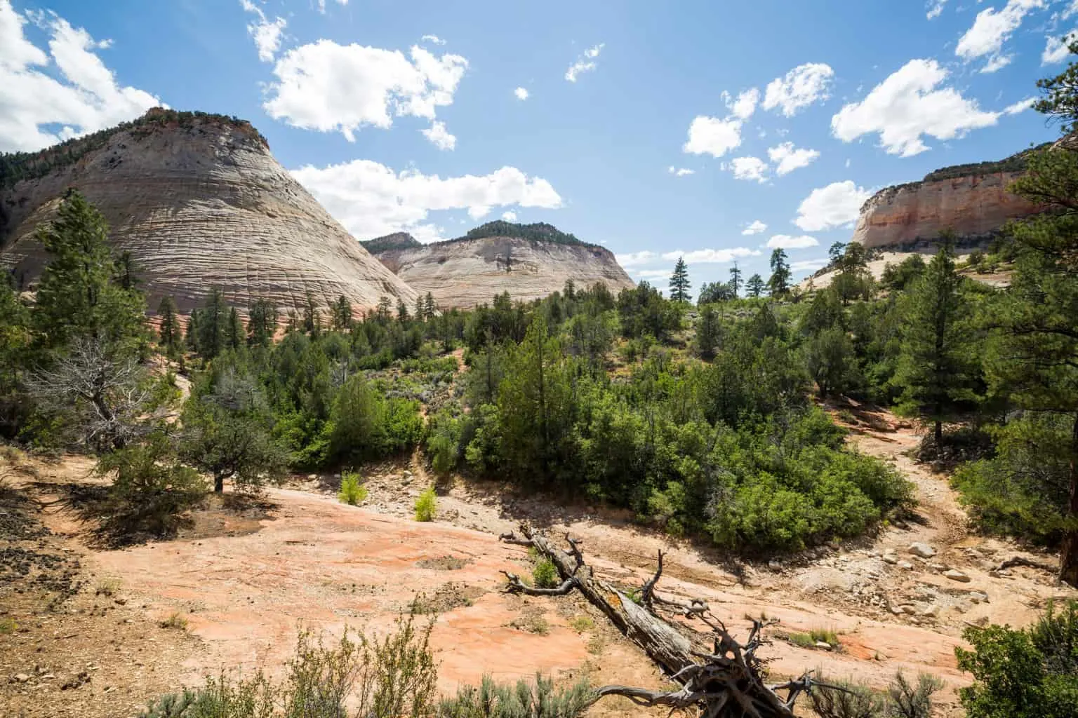 Checkerboard Mesa dusted with snow in Zion National Park