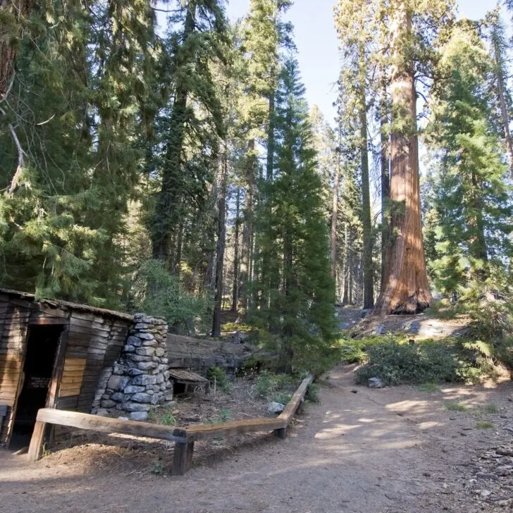 Tharp log in Sequoia National Park