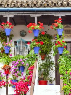 Typical Terrace (balcony) decorated Pink and Red Flowers, Spain