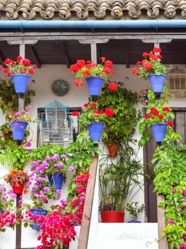 The 7 Best Things to Do in Córdoba, Spain Story