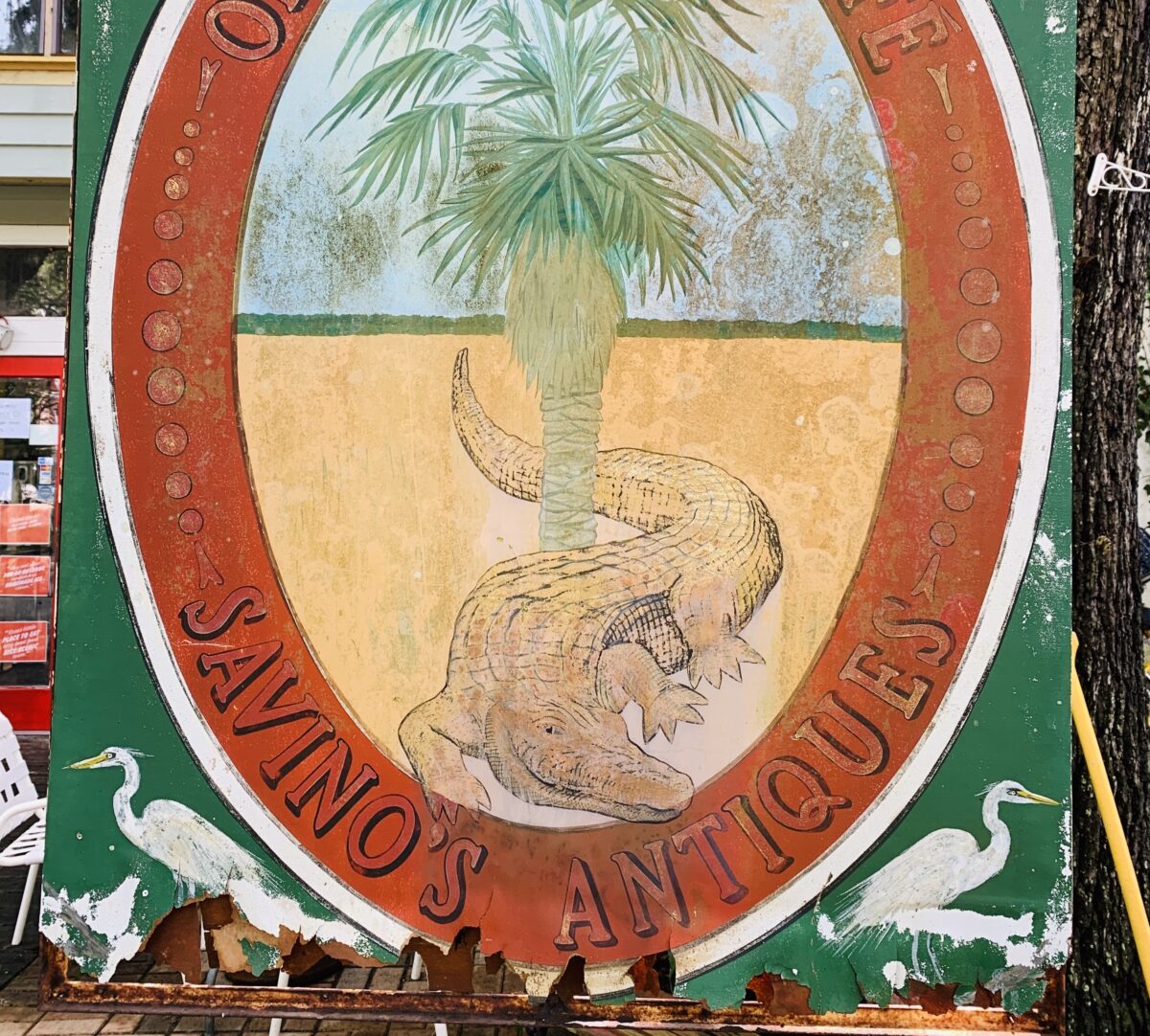  Old antique sign with alligator image in Micanopy FL