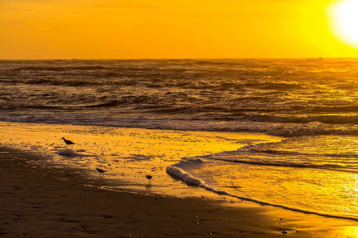 Amelia Island
Golden Sunrise over the beach at Amelia Island