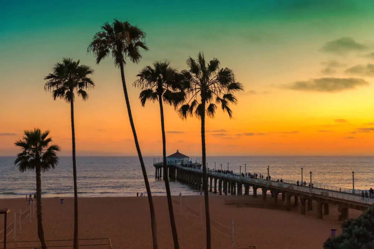 Palm trees and a beach in California at sunset