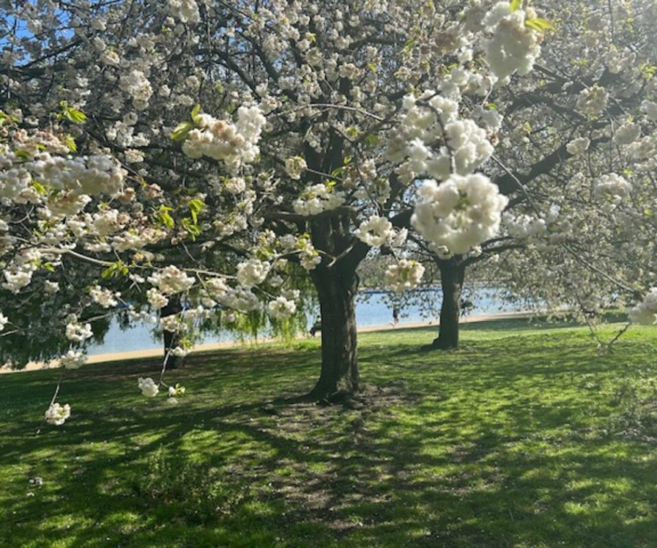 London Inh Spring 21 Unique Things To Do In London In Spring | Vagrants Of The World Travel