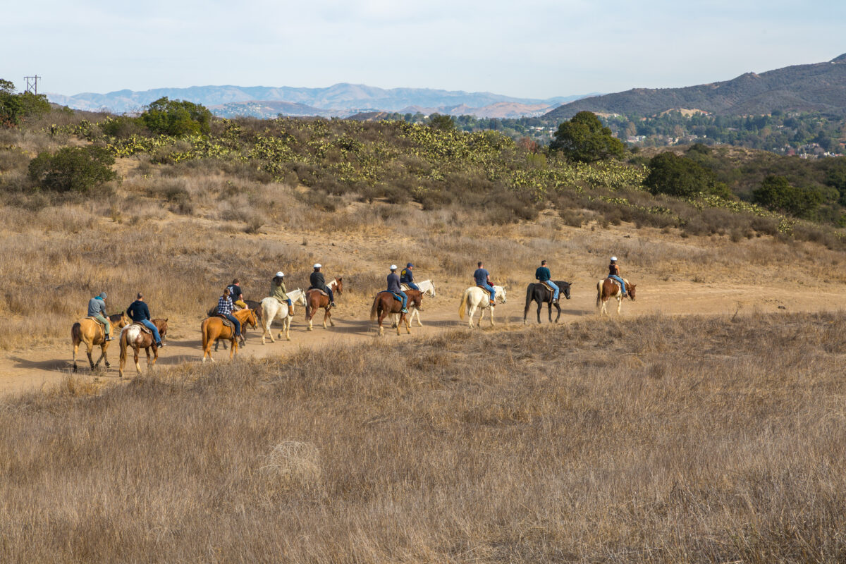 11 horseback riders on horses in the santa monica california mountains