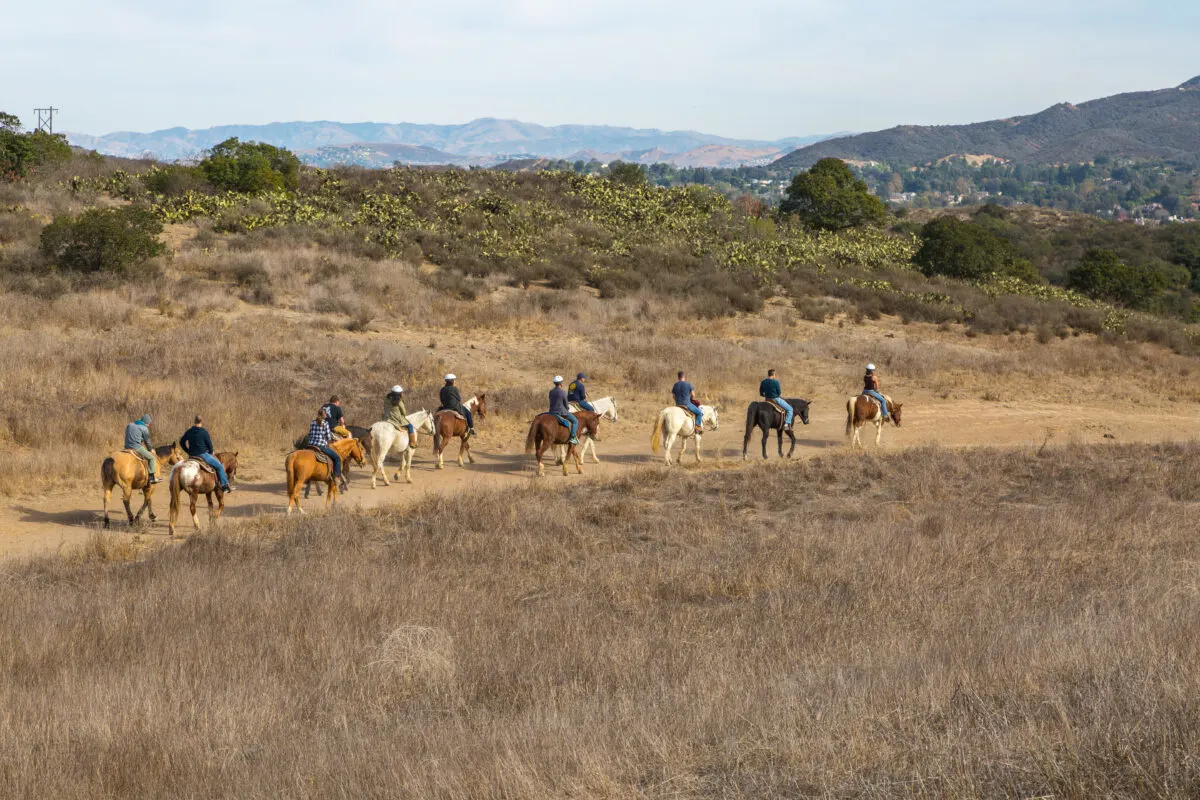 11 horseback riders on horses in the santa monica california mountains