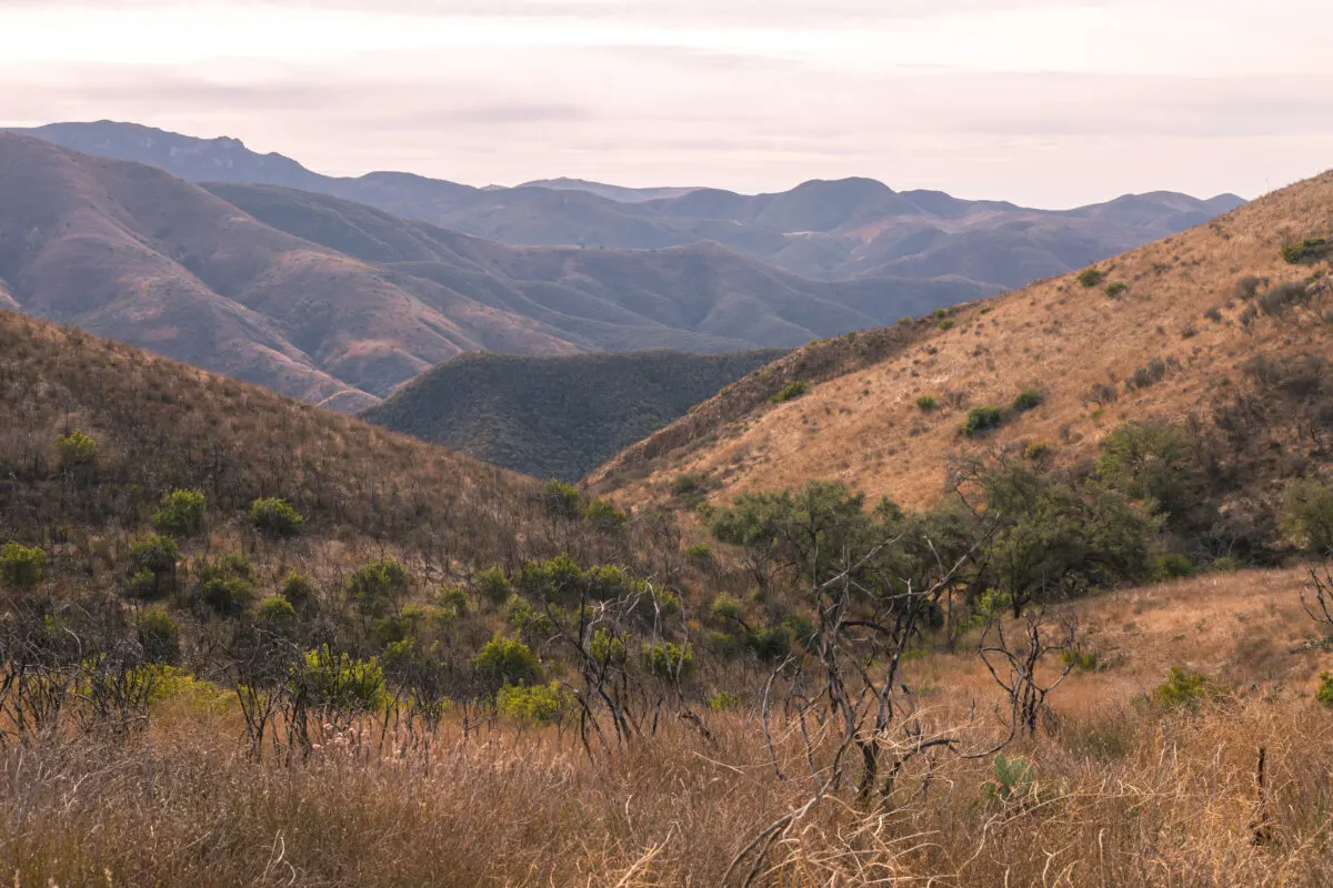 The santa monica california mountains at sunrise. Scattered green shrubs amoung the brown mountains.