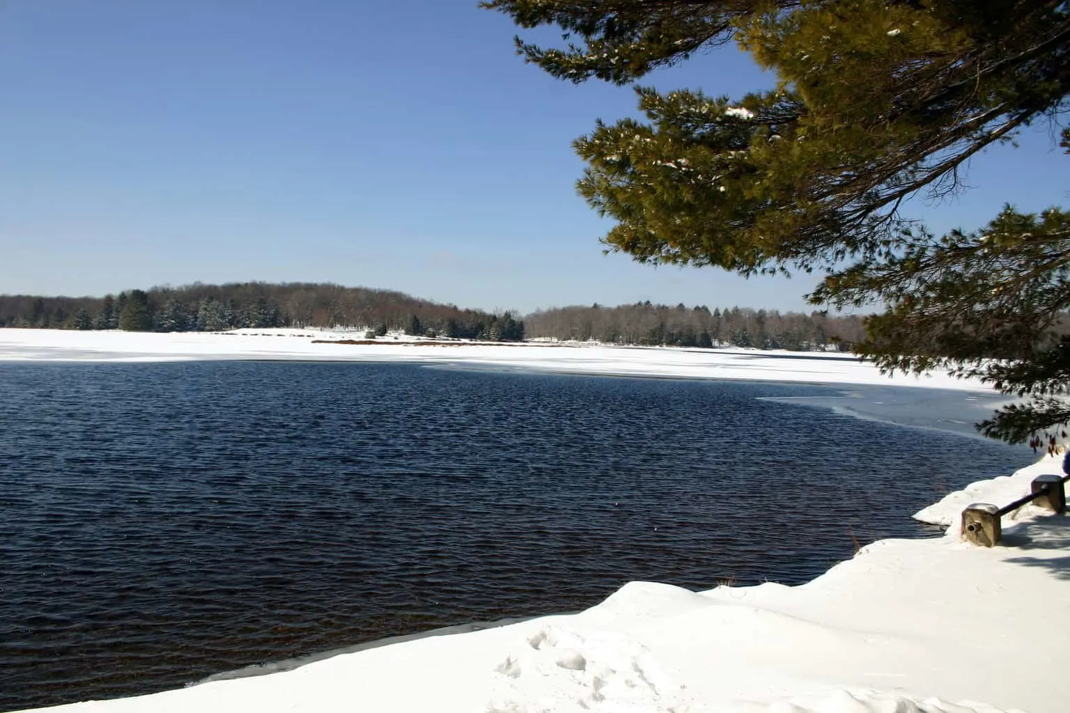 A half-frozen lake with open dark water, a snow-covered shoreline and pines in northeastern Pennsylvania