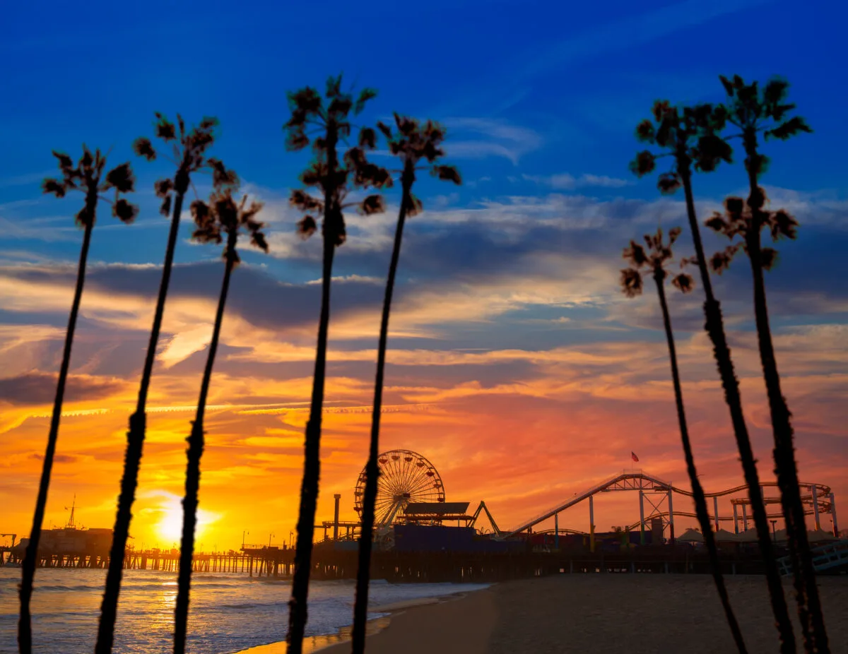 santa monica california pier at sunset with palm trees and a ferris wheel