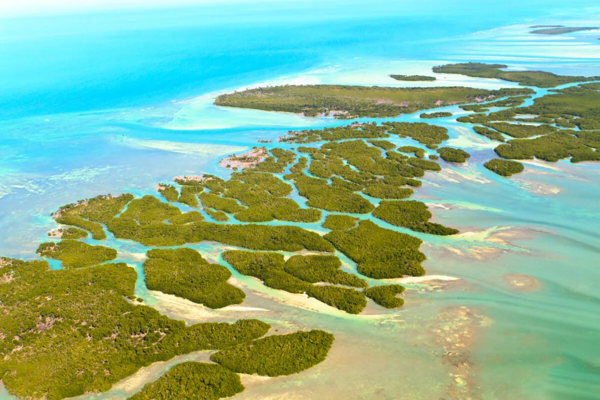 Blue water surrounding Florida Keys