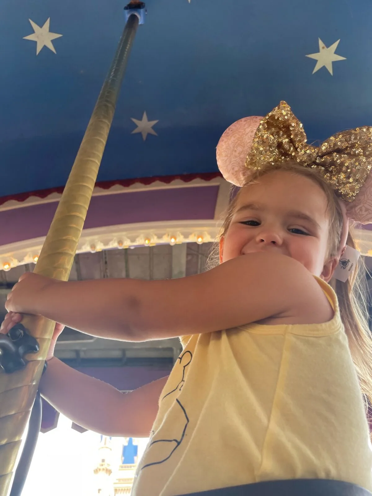 Young girl smiling on a merry-go-round