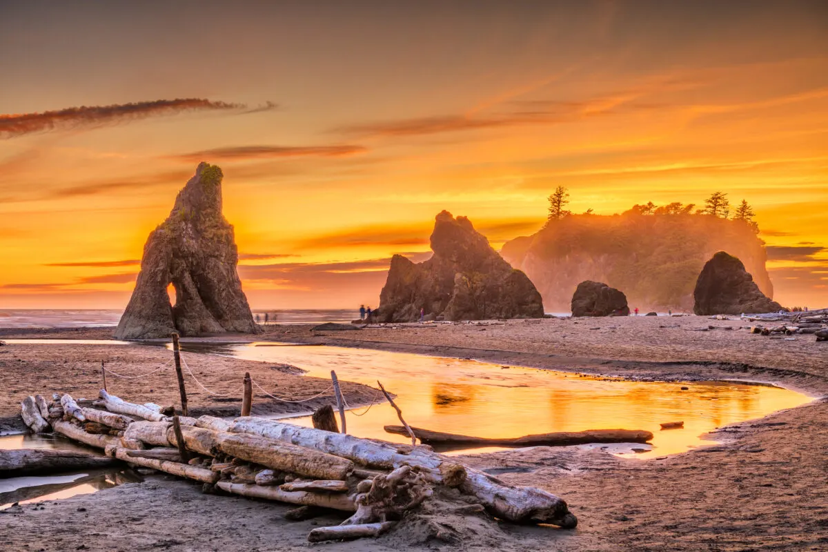 Ruby Beach in Olympic National Park at sunset