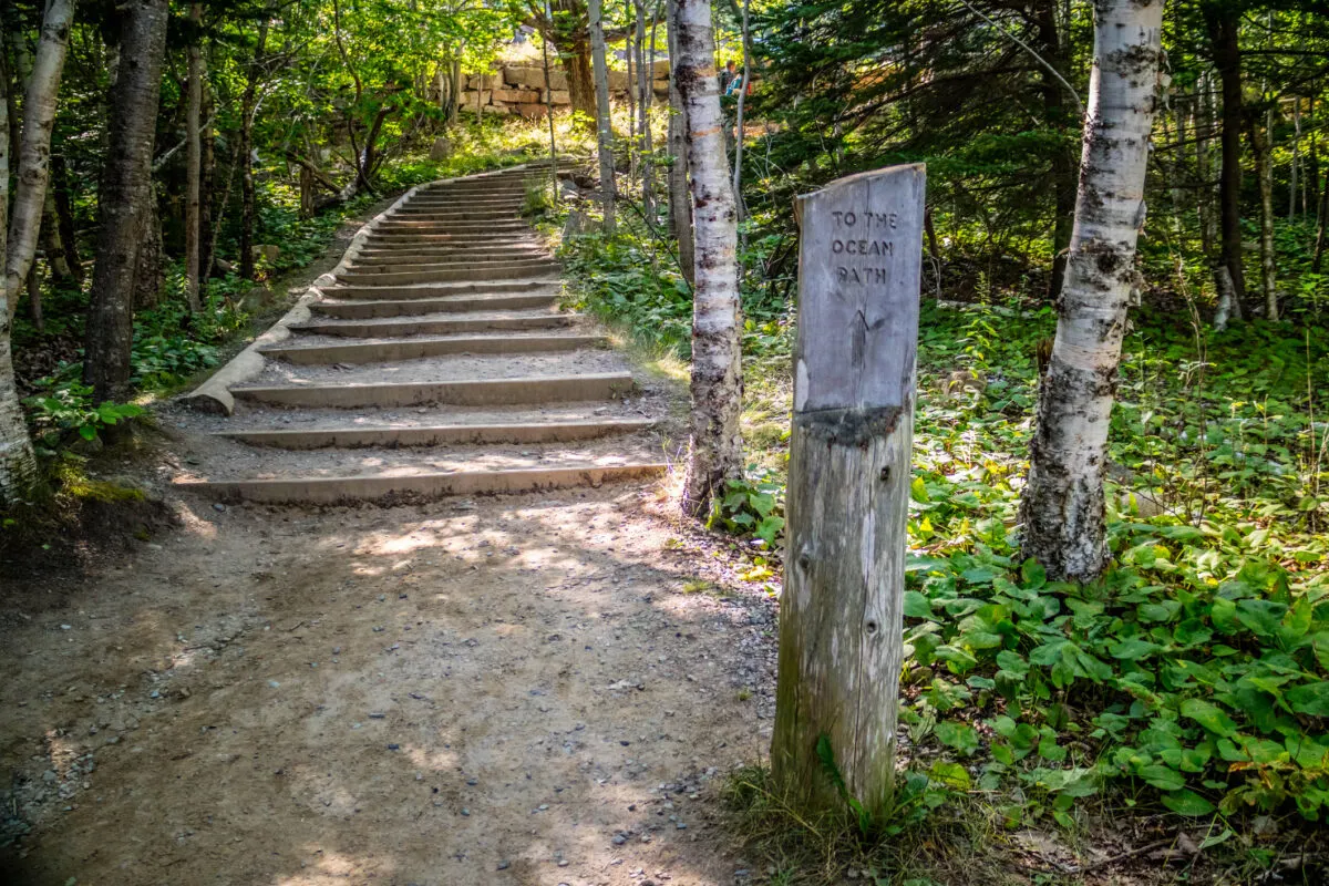 stairs climbing up to Ocean Path trail in Acadia Natinoal Park, Maine