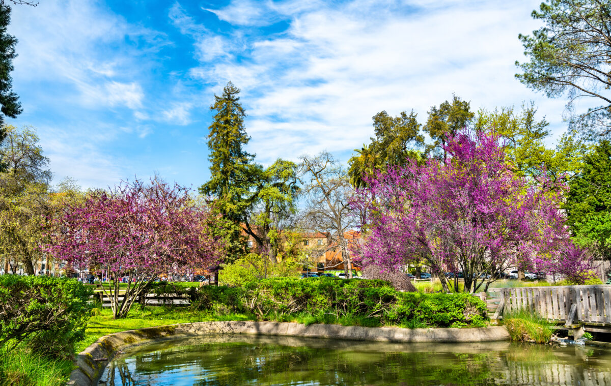 Sacramento city park